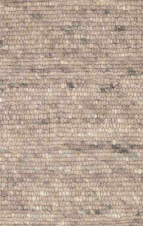 Ctychi-1496